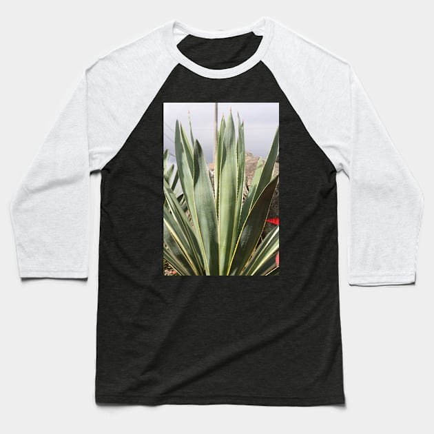 Mexican Plant Baseball T-Shirt by ScrambledPsychology